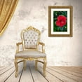 thumbnail image 3 of Engelbrecht, Lisa S. 13x18 Gold Ornate Wood Framed with Double Matting Museum Art Print Titled - Hibiscus, 3 of 4