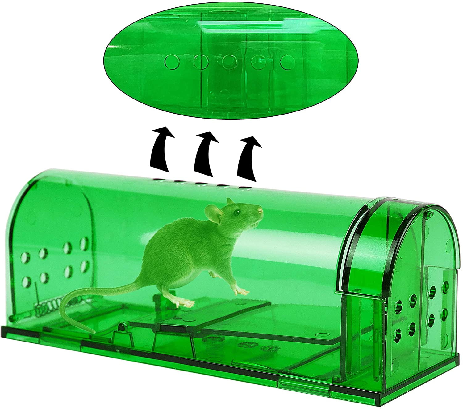 Reusable Smart Mouse Trap Humane Clear Plastic Smart No Kill Rodents C –  Butrrus