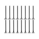 thumbnail image 1 of Dnj Vk16325 Kit De Válvula De Admisión De Escape Para Chevrolet Aveo Aveo5 L4 1.6L Dohc 16V Ev325 X8 Iv325 X8 2004 A 2008, 1 of 1