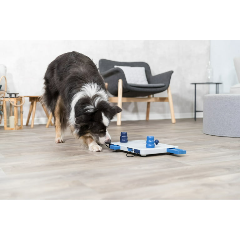 Dog Activity - CHESS - Puzzles - Electric-Collars.com