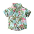 thumbnail image 2 of IROINNID Toddler Clothes Baby Summer Hawaiian Casual Beach Wear Print Short-sleeved Shirt Top 3-4 Years, 2 of 7