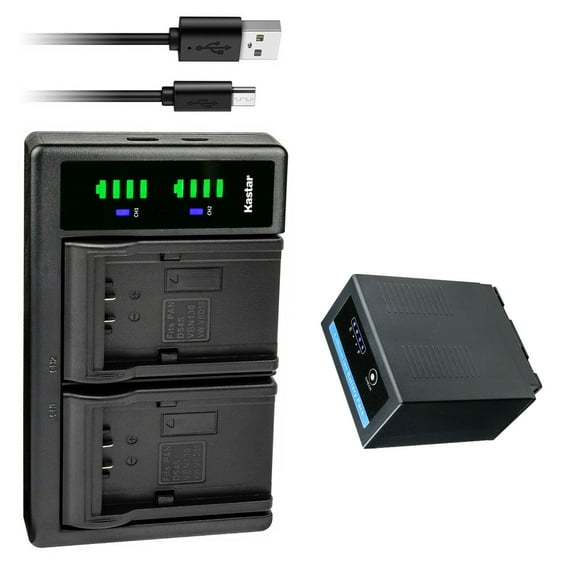 Kastar 1-Pack CGR-D54Pro Battery and LTD2 USB Charger Compatible with Panasonic CGR-D54SE/1B CGR-D54SE/1H CGR-D54Pro VW-VBD29 VW-VBD55 Battery, AG-B23 AG-B23P DE-A20 DE-A88C VSK0581 Charger