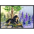thumbnail image 1 of Carolines Treasures SS8007MAT Tapis d'Extérieur Intérieur Mastiff Tibétain 18 x 27 Po, 1 of 4