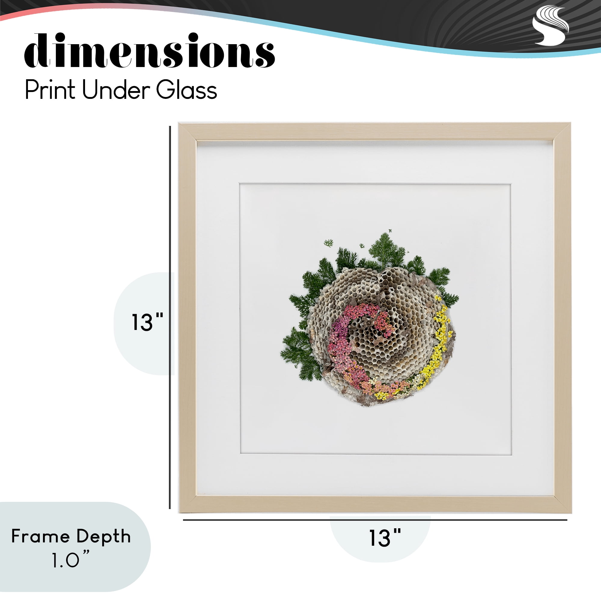 Stupell Industries Honeycomb with Botanicals Birch Framed Print Under Glass, design by Beth Adoette