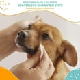 thumbnail image 2 of Champú sin agua, toallitas Nootie para perros y gatos, 70 unidades, 2 of 5