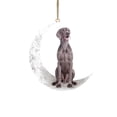 thumbnail image 1 of Alohelo Iron Art Sit On The Moon Lovely Dog Moon Ornament For Dog Lovers Christmas Tree Pendent, 1 of 5