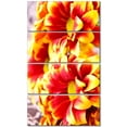 thumbnail image 2 of Red Yellow Flower Background Photo - Large Floral Canvas Artwork, 2 of 3