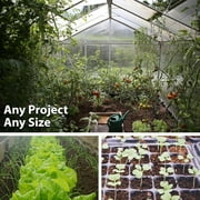 Spring Raab Rapini Broccoli - 1 OZ ~9,000 Seeds - Heirloom, Open Pollinated, Non-GMO, Farm & Vegetable Gardening & Micro Greens Seeds - AKA: Asparago