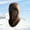 Coffee, variant on Winter Lined Neck Gaiter Face Scarf Hood, Thermal Windproof Balaclava for Cold Weather Outdoor Activities, Multi functional for Sports
