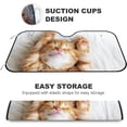 thumbnail image 4 of GZHJMY Car Windshield Sunshade Cute Kitten, Foldable Car Visor Front Window Sun Shade for SUV Car 51 x 27.5 inch Keep Vehicle Cool, 4 of 6