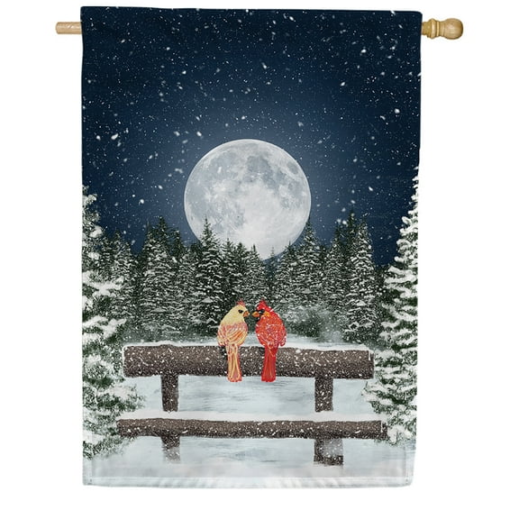 America Forever Winter Moon House Flag 28 x 40 inch Double Sided, Cardinal Banner Snow Scene Bench Outdoor Decor, Night Garden Peaceful Yard Display Seasonal Winter Decorations