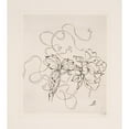 thumbnail image 3 of Félix Bracquemond 20x22 Black Modern Framed Museum Art Print Titled - Plate (Peony). (1866 - 1878), 3 of 5