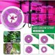 thumbnail image 2 of Led Plant Light 5v, Horticulture Led Grow Flower Light, Full Spectrum 2835 Smd With USB(2m, Waterproof), 2 of 5