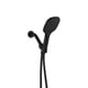 thumbnail image 1 of Regadera De Mano Flowell Brisei Negro Mate, 1 of 3