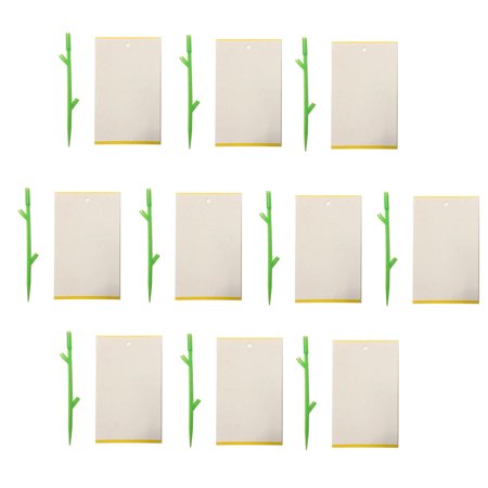 KEVCHE Sticky Houseplant Traps Gnat Yellow Insect Trap Indoor Outdoor Fruit Fly Stakes