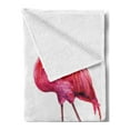 thumbnail image 2 of Animal Soft Flannel Fleece Throw Blanket, 2 Hand Drawn Flamingos in Pink Colors on Seaside Tropical Wildlife Artwork, Cozy Plush for Indoor and Outdoor Use, 70" x 90", Orange Lavender, by Ambesonne, 2 of 5
