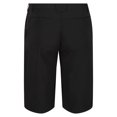thumbnail image 5 of Regatta Mens Highton Walking Shorts, 5 of 5