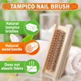 thumbnail image 2 of Konex Wooden Cleaning Scrub Brush for Hands Nails and Toes Non Slip with Tampico Bristles The Perfect Blend of Nature and Efficiency, 2 of 8