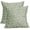 Sage Green Cream Floral, variant on Sps ssion 20â x 20â Vintage Floral Cotton Linen Decorative Pillow Covers, (2 Count)