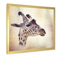 thumbnail image 2 of Designart 'Close Up Portrait of A Giraffe VII' Farmhouse Framed Art Print, 2 of 4