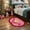 Pink, variant on NWOKYZGH Christmas Bathroom Mat Christmas Area Rug Non Slip Cute Gingerbread Bathroom Decoration Plush Microfiber Doormat Christmas Decor for Home Bedroom Shower Floor Living Room