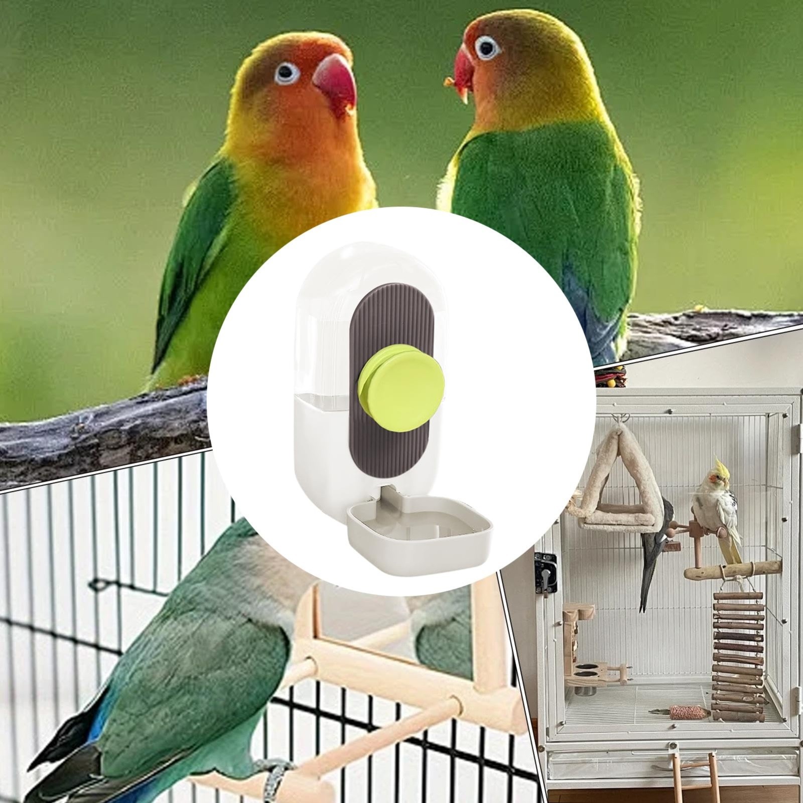 LYINGF Automatic Bird Water Feeder for Cage, Parrot Water Dispenser Cage Accessories for Lovebirds and Budgies, Easy to Install and Clean for Consistent Pet Bird Hydration