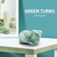 thumbnail image 2 of 10CM Verde Turbo Natural Raro Real Concha De Mar Decoración Oce, 2 of 6