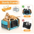thumbnail image 3 of Large Cat Carrier for 2 Cats - Extra Large Soft Pet Carrier for Small Dogs - Collapsible Travel Bag with Safety Belt & Shoulder Strap - 23"x13"x13", 3 of 8