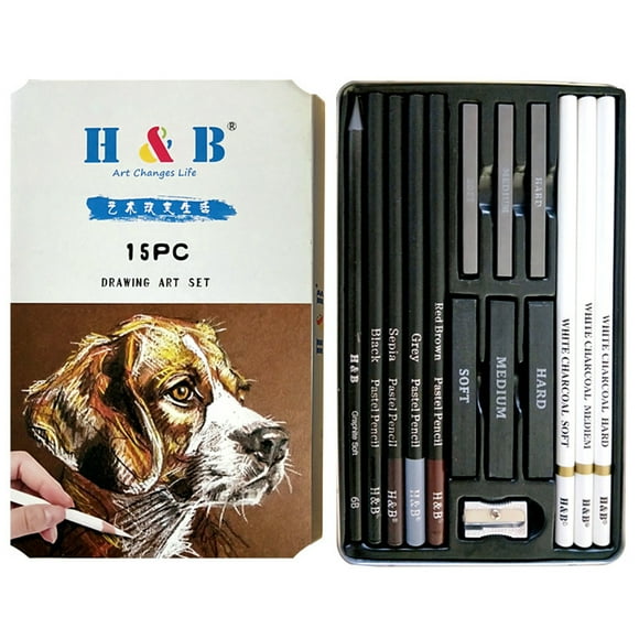 H&B Ensemble de 15 Pcs Fournitures d'Art Kit de Dessin Charbon Blanc et Crayons Pastel Outils de Peinture
