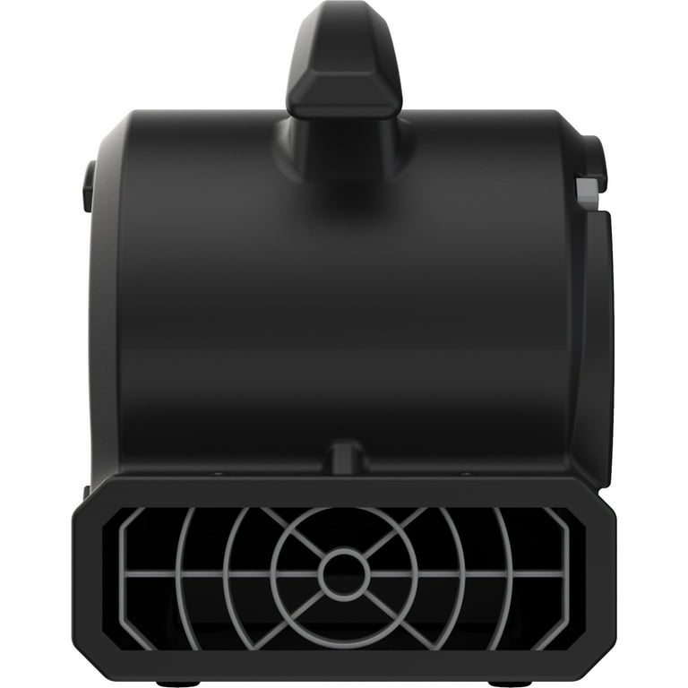 BlueDri Mini Storm 1/12 HP Residential Air Mover & Blower Fan