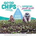 thumbnail image 6 of GOOD CHIPS Baked Fruit Chips Variety Pack, Apple Pineapple Plantain, 8-Pack, 6 of 8