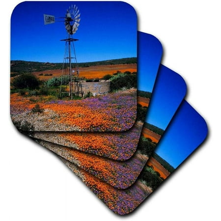 

flowers namaqualand northern cape south africa. soft coasters (set of 4)