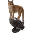 thumbnail image 1 of Ebros Gift Figurine Réaliste Grand Chat Cougar sur Roche en Résine Statue 8.25 Pouces H, 1 of 6