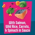 thumbnail image 4 of (24 pack) Friskies Full Load'd Salmon 5.5oz, 4 of 10