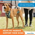 thumbnail image 2 of Walkin' Pets Lift-n-Step Dog Harness for Full Body Support - Aqua - Small, 2 of 8