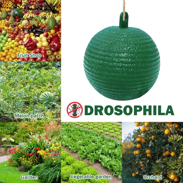 Trampa colgante para moscas Ball Fruit Fly Catcher 8 cm trampa adhesiva para atrapar insectos de frutas (verde)