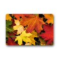 thumbnail image 1 of RYLABLUE Tapis de Sol Automne Récolte Tapis de Sol Extérieur/intérieur Taille 30x18 Pouces, 1 of 1