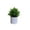 Green-C, variant on EQWLJWE Artificial Bonsai Tree Cloud Pine Bionic Plant Indoor Small Fake Plants 7.09*4.72(L*W)inch Living Room Desktop Landscape Decoration