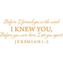 Orange 40" x 16" Decaltor Before I formed you in the womb Jeremiah 1:5 Vinyl wall art family mother newborn bible prayer Inspirational quotes and saying home décor