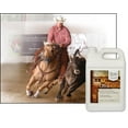 thumbnail image 2 of UltraCruz® Equine Wheat Germ Oil Blend, 4 x 1 gallon, 2 of 3