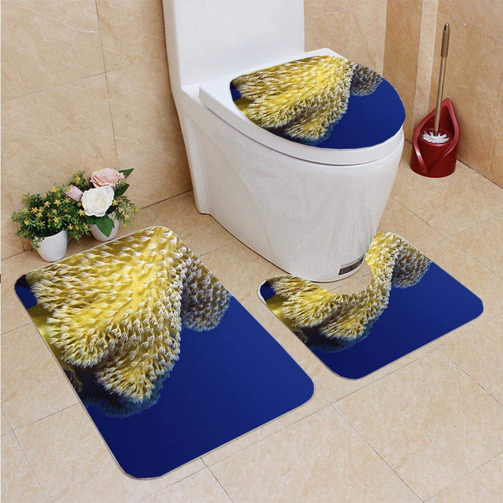 GOHAO Coral Reef Beautiful Great Soft Coral in Tropical sea 3 Piece