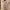 Multicolor, variant on COSFO Long Sleeve Women Dresses Casual Vintage Multicolor V-Neck Midi Dresses Pleated A-Line Flowy Dresses