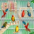 thumbnail image 4 of 10 Pcs Parrot Swing Toys & Bird Perches Platform with Ladder for Parakeet Cage Accessories, 4 of 5