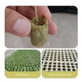 thumbnail image 3 of SEWCHICS 50Pack Breathable Grow Blocks Assorted Color Indoor Plant Transplant for Gardeners, 3 of 8