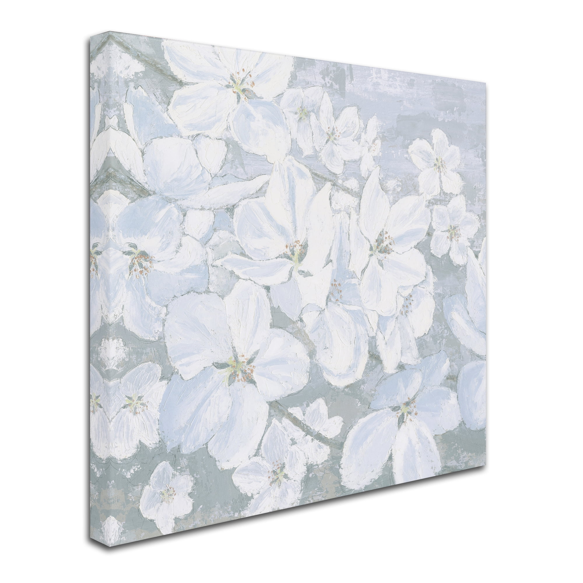 Trademark Fine Art 'Grand Array II Crop' Canvas Art by James Wiens