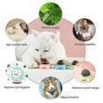 thumbnail image 4 of 3pcs Catnip Wall Ball Toys Edible Licking Toy Chew Toy Teeth Cleaning Bite Toy Rotatable Indoor Toy, 4 of 5