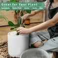 thumbnail image 5 of Mozing Ceramic Plant Pots Indoor - 8 x 8 inch Modern Flower Pot with Drainage Hole (White), 5 of 7