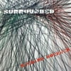 Richard Buckner - Surrounded - Country - Vinyl