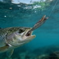 thumbnail image 1 of Soft Squid Hook Enhances Your Baitcaster Rod And Reel Combo Baitcaster Rod Baitcaster Baitcaster Combo Baitcaster Reels And Rod Combo Baitcaster Reels Left Handed round Baitcaster Reels Baitcaster Rod, 1 of 3