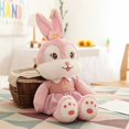 thumbnail image 1 of Comfortable/Soft/Cute/Rabbit Plush Toy/Star Delu Rabbit Cartoon Doll with Skirt and Hair Clip/Girl's Birthday Giftpink50cm Deng Xun unisex, 1 of 2
